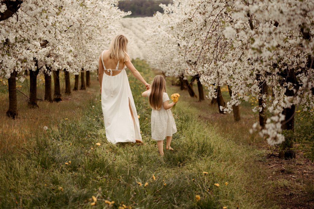 Eine traumhafte Kirschblütenplantage blühen in voller weißer Pracht. Eine Mama spaziert mit ihrem Mädchen auch die blühende Wiese. Das Mädchen hält gelben Löwenzahn in der Hand. Buche dein Kirschblütenshooting.